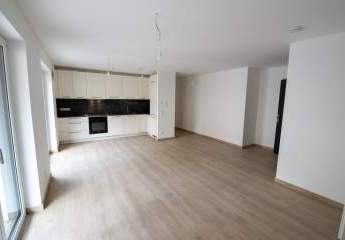 484655-Vorschaubild3