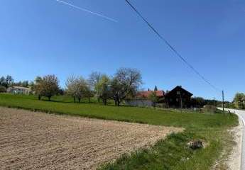 486505-Vorschaubild2