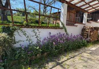 486505-Vorschaubild4