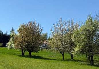 486510-Vorschaubild2