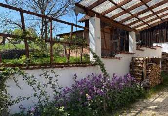 486510-Vorschaubild3