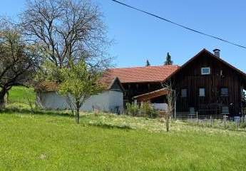 486510-Vorschaubild4