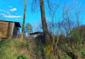 416896-Vorschaubild4
