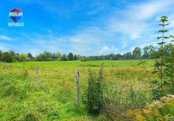 454176-Vorschaubild2