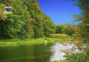 454176-Vorschaubild3