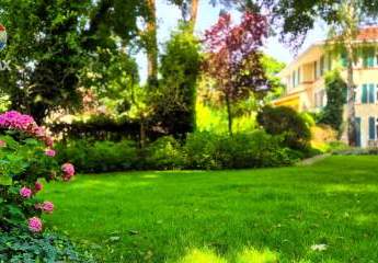 457063-Vorschaubild2