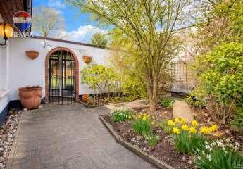 485342-Vorschaubild3