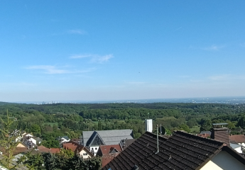 419749-Vorschaubild2