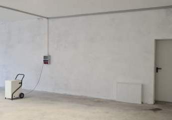 431281-Vorschaubild3