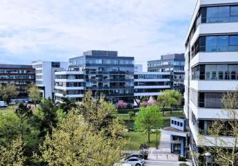 431287-Vorschaubild2