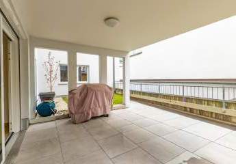 452999-Vorschaubild2