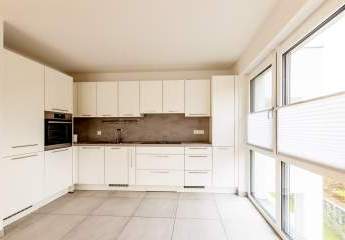 453001-Vorschaubild4