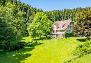 443317-Vorschaubild3