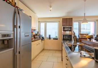 450087-Vorschaubild4