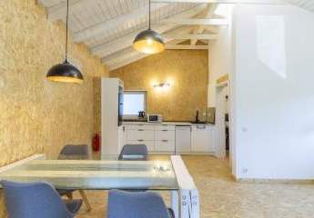 479596-Vorschaubild3