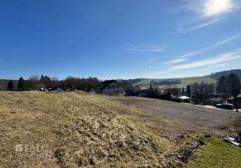 451751-Vorschaubild3