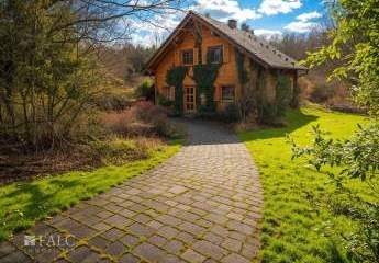 466384-Vorschaubild2