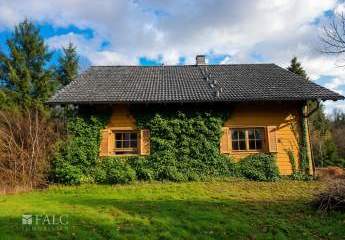 466384-Vorschaubild4