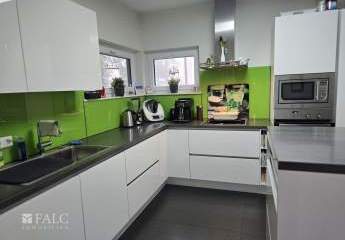 449738-Vorschaubild4