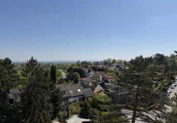 485729-Vorschaubild4