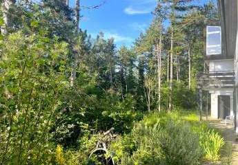 479941-Vorschaubild4