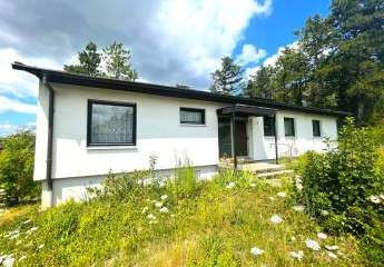 479941-Vorschaubild4