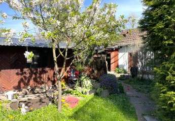 482117-Vorschaubild3