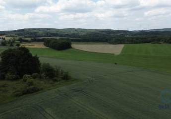 Landwirtschaftliche Fläche - 15717m² verfügbar zwischen Neunkirchen/Nahe - Gonnesweiler an der L135