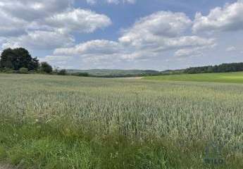 431457-Vorschaubild2