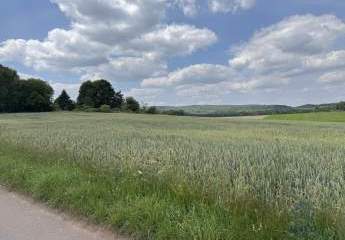 431457-Vorschaubild3