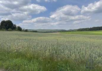 431457-Vorschaubild4