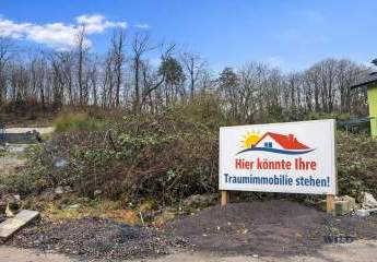 473490-Vorschaubild3