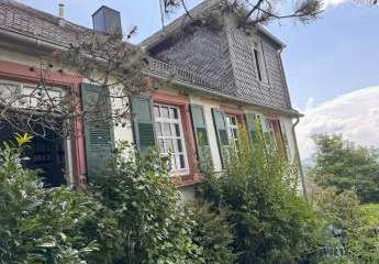 481935-Vorschaubild3