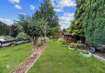 456501-Vorschaubild4