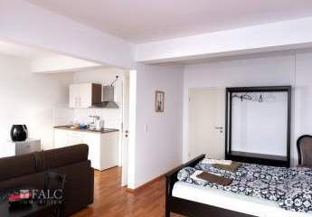 456733-Vorschaubild2