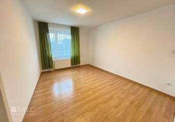 493772-Vorschaubild4