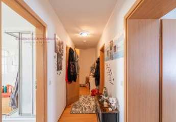 456135-Vorschaubild3