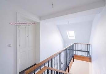 481174-Vorschaubild4