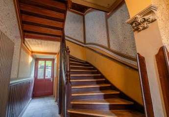 482297-Vorschaubild3