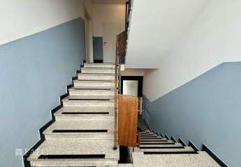 433939-Vorschaubild4