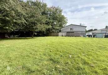 441320-Vorschaubild3