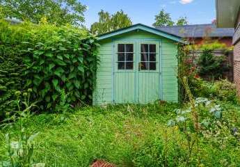 433991-Vorschaubild4