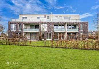 474832-Vorschaubild2