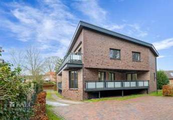 464252-Vorschaubild2