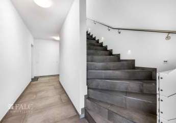 464252-Vorschaubild4