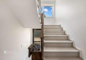 486508-Vorschaubild2