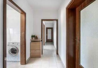 486509-Vorschaubild4