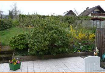 432821-Vorschaubild4