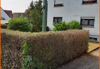 432839-Vorschaubild3