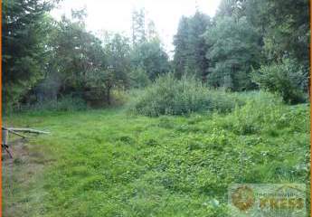 Freizeitgrundstück in der Gemarkung von Steinau  mit 2 Teichen, Brunnen und Gartenhütte